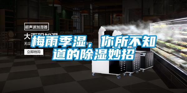 梅雨季濕，你所不知道的除濕妙招