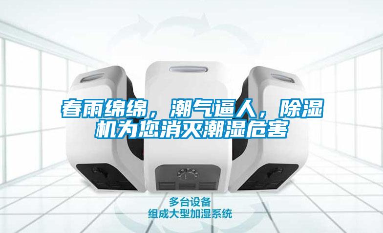 春雨綿綿，潮氣逼人，除濕機為您消滅潮濕危害