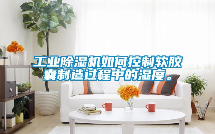 工業除濕機如何控制軟膠囊制造過程中的濕度。
