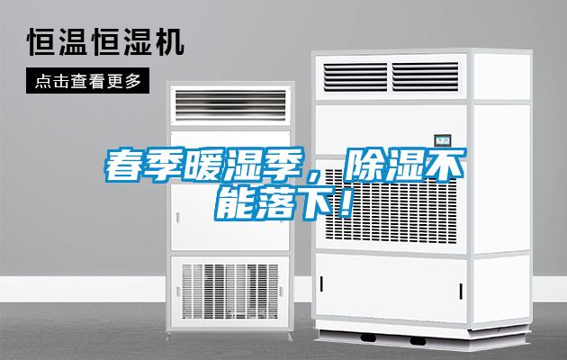 春季暖濕季，除濕不能落下！