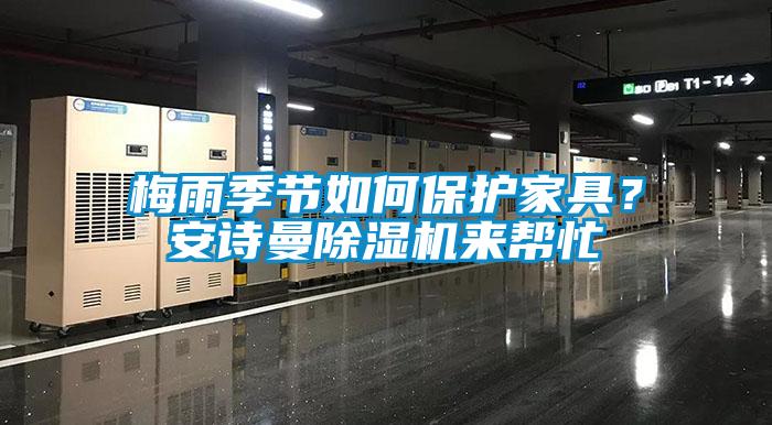 梅雨季節(jié)如何保護(hù)家具？安詩(shī)曼除濕機(jī)來幫忙
