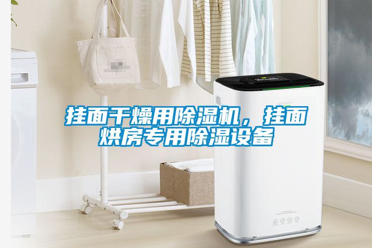 掛面干燥用除濕機(jī)，掛面烘房專(zhuān)用除濕設(shè)備