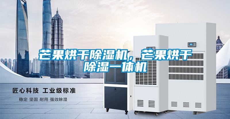 芒果烘干除濕機，芒果烘干除濕一體機