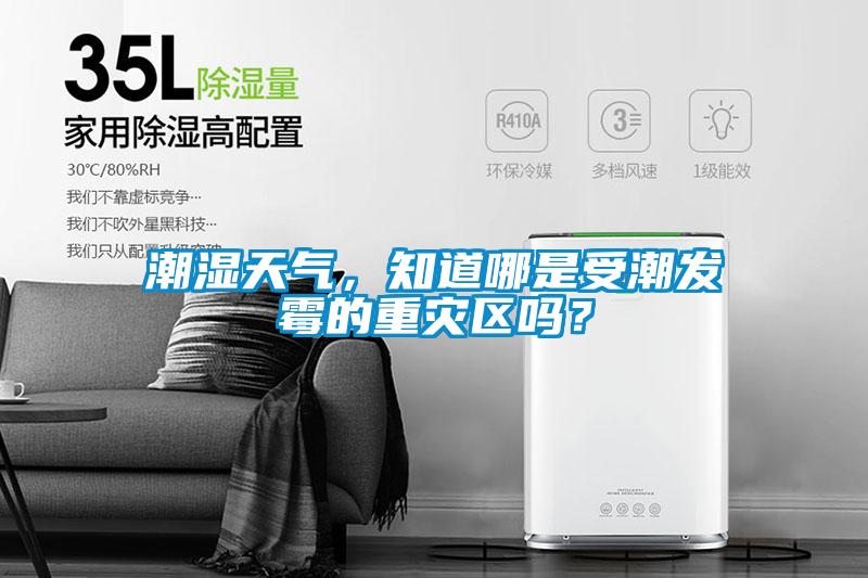 潮濕天氣，知道哪是受潮發(fā)霉的重災(zāi)區(qū)嗎？