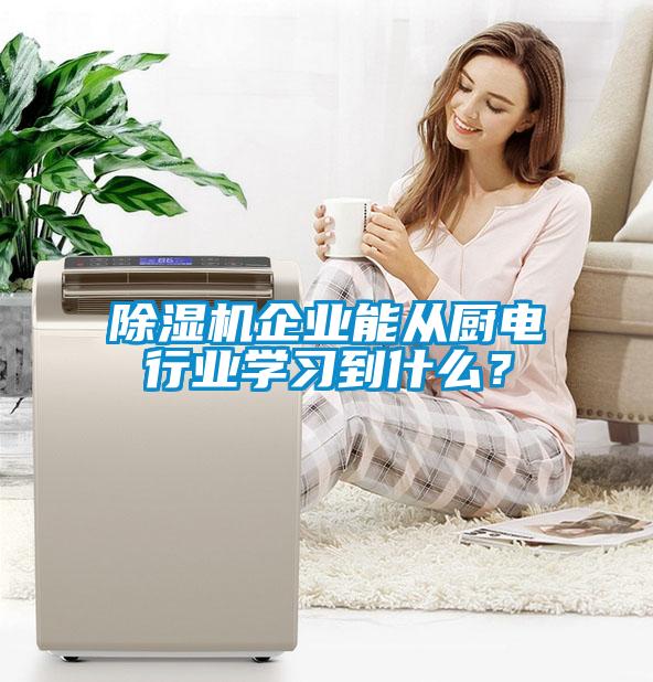 除濕機企業能從廚電行業學習到什么？
