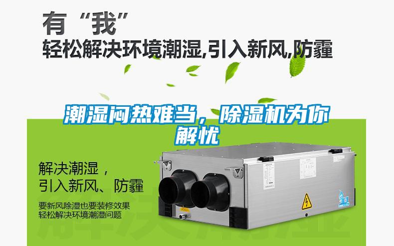 潮濕悶熱難當，除濕機為你解憂