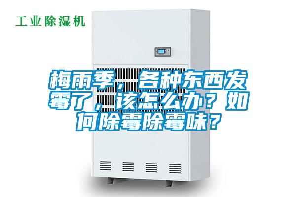 梅雨季，各種東西發霉了，該怎么辦？如何除霉除霉味？