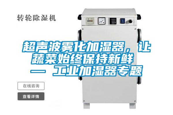 超聲波霧化加濕器，讓蔬菜始終保持新鮮 — 工業(yè)加濕器專題