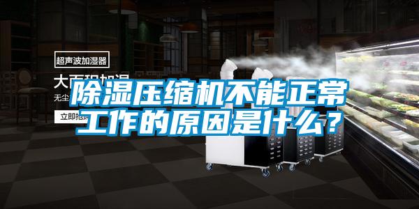 除濕壓縮機(jī)不能正常工作的原因是什么？