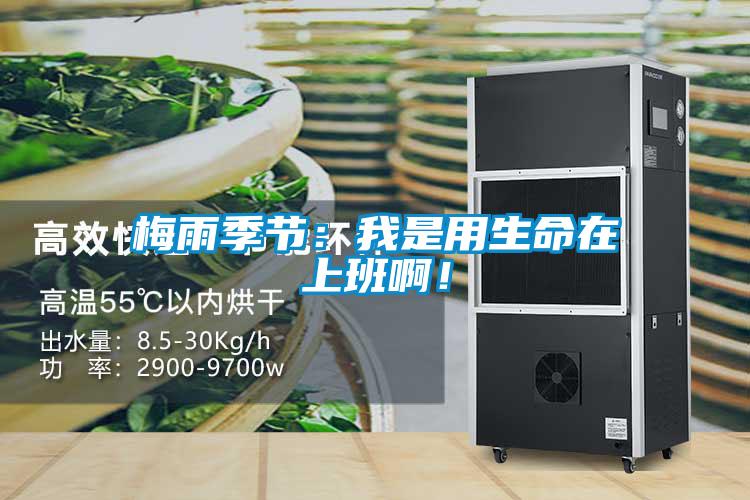 梅雨季節：我是用生命在上班?。?></div>
								<div   id=