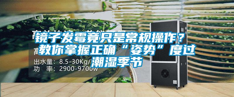 鏡子發霉竟只是常規操作？ 教你掌握正確“姿勢”度過潮濕季節