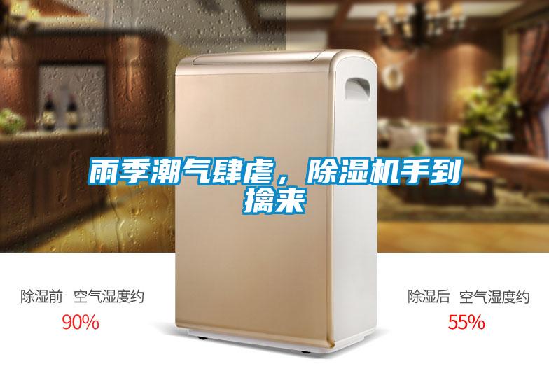 雨季潮氣肆虐，除濕機手到擒來