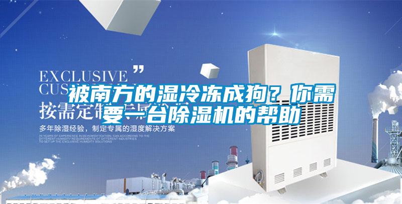 被南方的濕冷凍成狗？你需要一臺(tái)除濕機(jī)的幫助