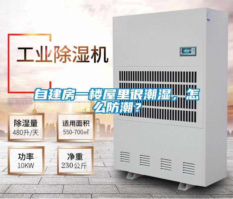自建房一樓屋里很潮濕，怎么防潮？
