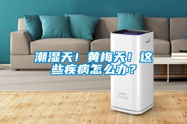 潮濕天！黃梅天！這些疾病怎么辦？