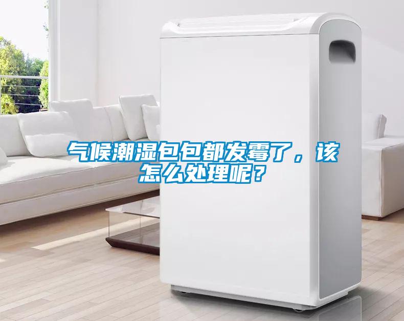 氣候潮濕包包都發霉了，該怎么處理呢？