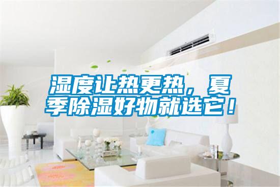 濕度讓熱更熱，夏季除濕好物就選它！