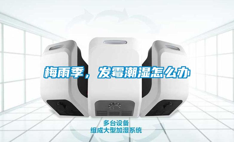 梅雨季，發(fā)霉潮濕怎么辦