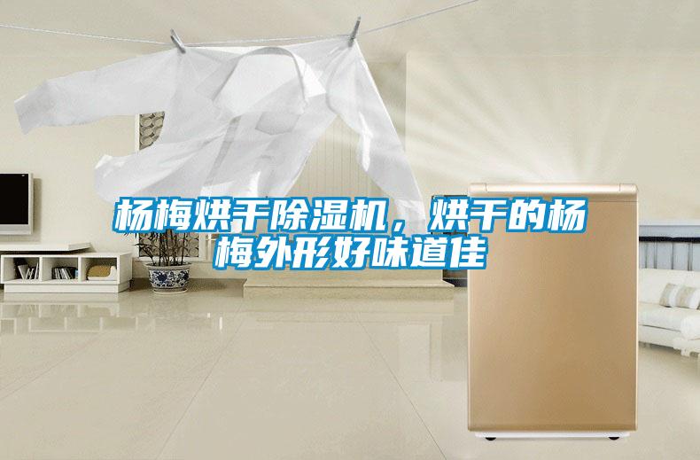 楊梅烘干除濕機，烘干的楊梅外形好味道佳