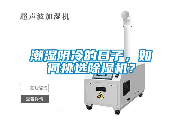 潮濕陰冷的日子，如何挑選除濕機？