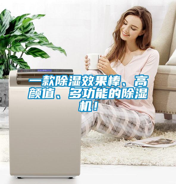 一款除濕效果棒、高顏值、多功能的除濕機！