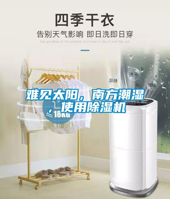 難見太陽，南方潮濕，使用除濕機