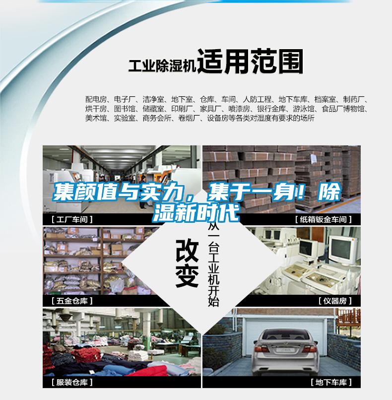 集顏值與實力，集于一身！除濕新時代