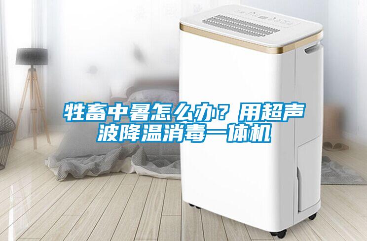 牲畜中暑怎么辦？用超聲波降溫消毒一體機(jī)