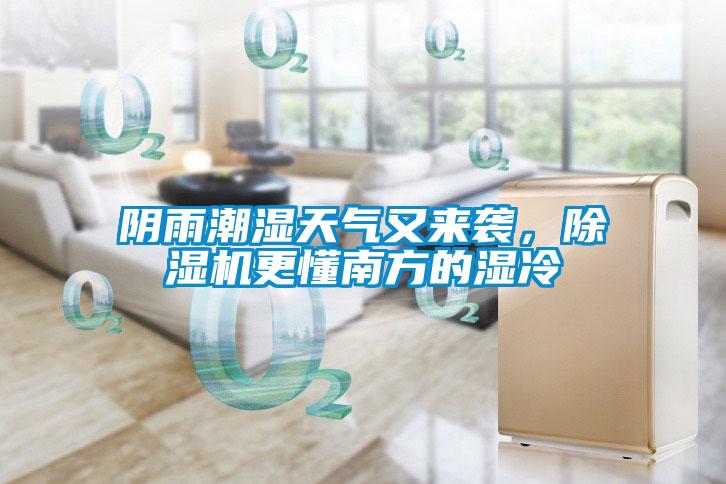 陰雨潮濕天氣又來襲，除濕機更懂南方的濕冷