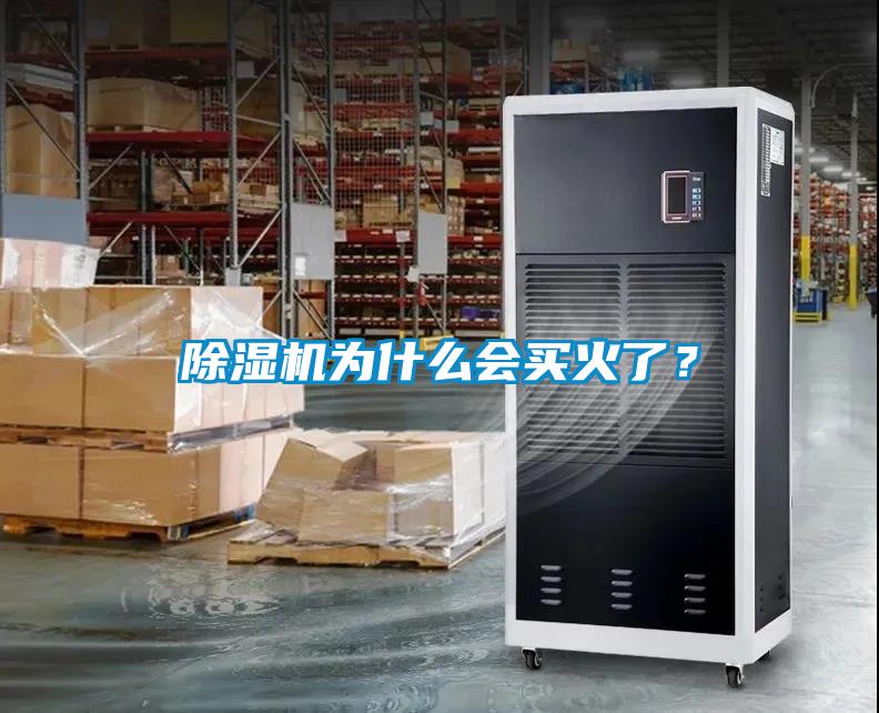 除濕機(jī)為什么會(huì)買火了？
