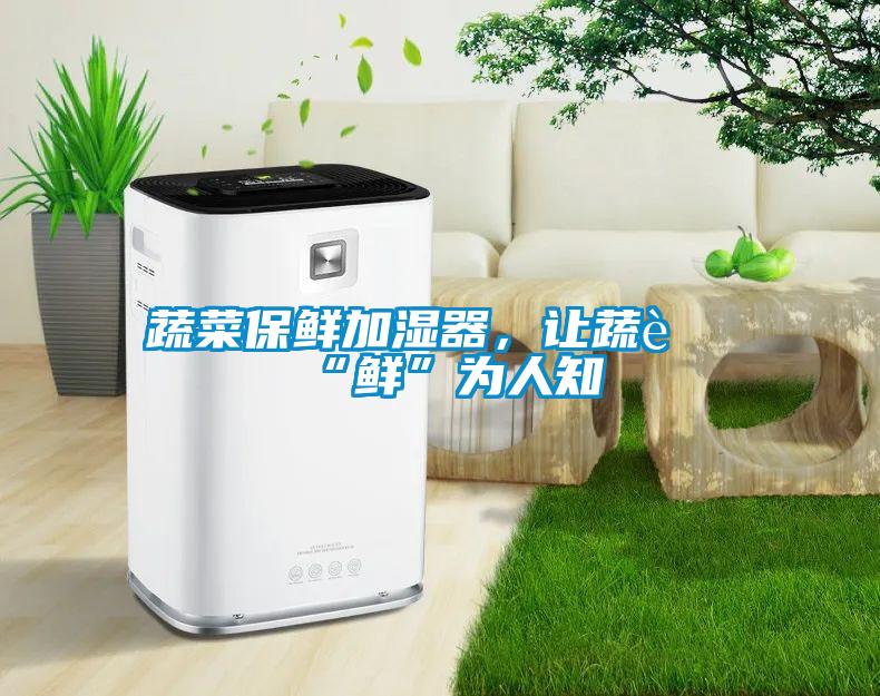蔬菜保鮮加濕器，讓蔬菜“鮮”為人知