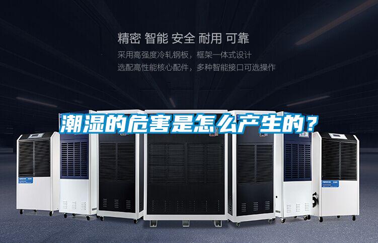 潮濕的危害是怎么產生的？