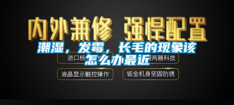 潮濕，發霉，長毛的現象該怎么辦最近