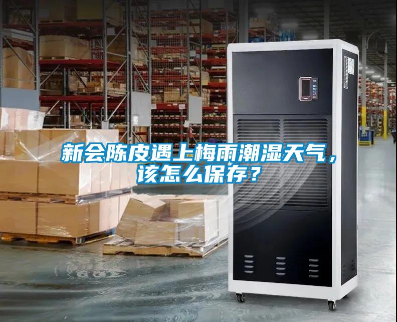 新會陳皮遇上梅雨潮濕天氣，該怎么保存？