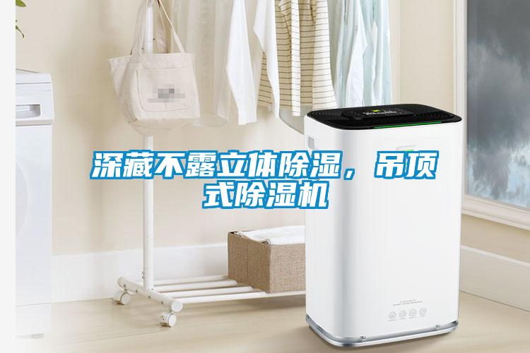 深藏不露立體除濕，吊頂式除濕機