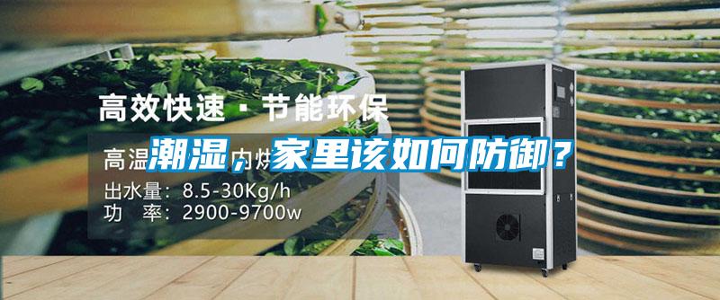 潮濕，家里該如何防御？