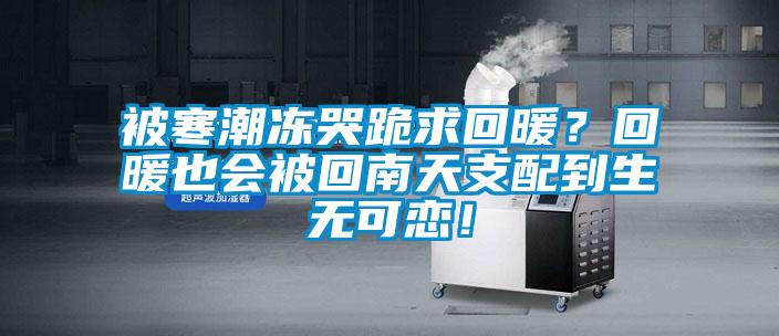 被寒潮凍哭跪求回暖？回暖也會(huì)被回南天支配到生無(wú)可戀！