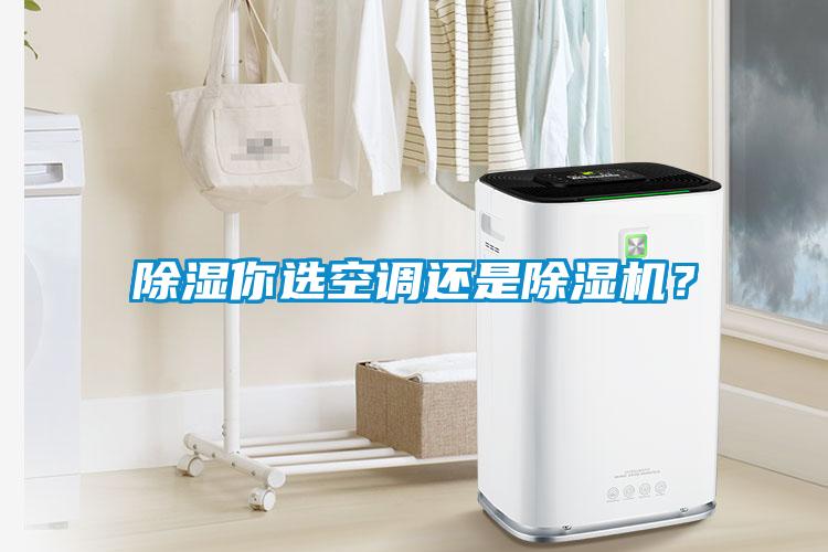 除濕你選空調還是除濕機？