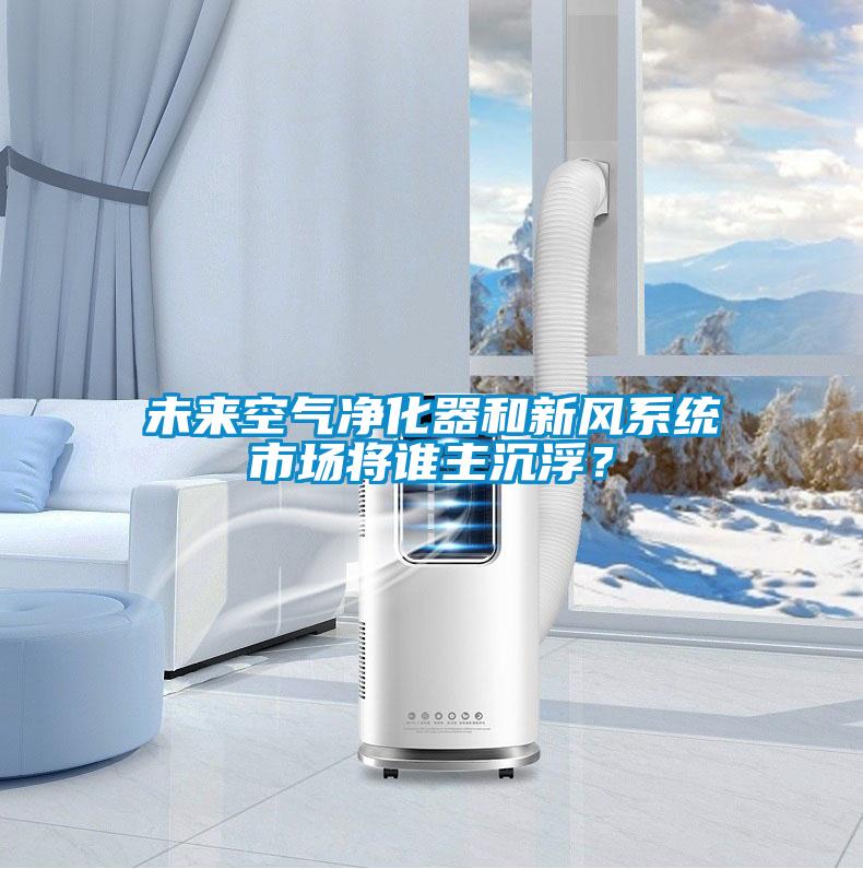 未來空氣凈化器和新風系統市場將誰主沉浮？