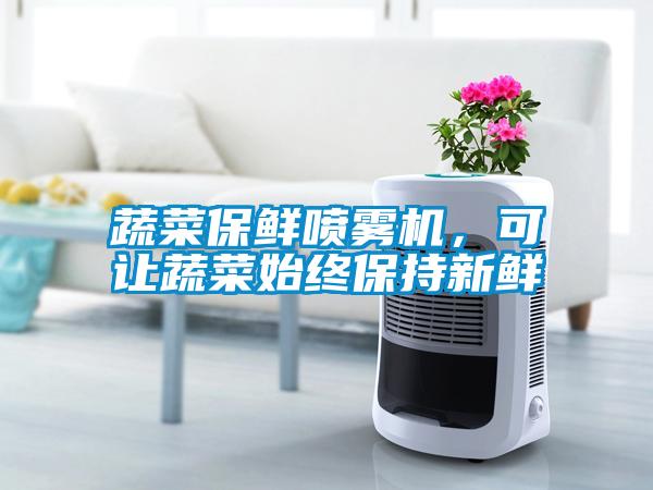 蔬菜保鮮噴霧機(jī)，可讓蔬菜始終保持新鮮