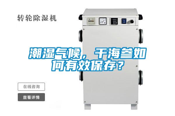 潮濕氣候，干海參如何有效保存？