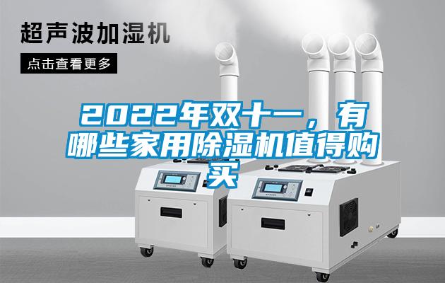 2022年雙十一，有哪些家用除濕機值得購買