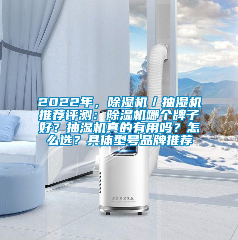 2022年，除濕機／抽濕機推薦評測：除濕機哪個牌子好？抽濕機真的有用嗎？怎么選？具體型號品牌推薦