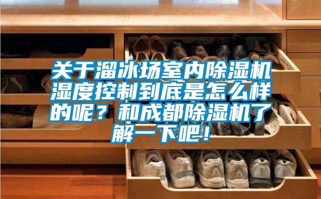 關于溜冰場室內除濕機濕度控制到底是怎么樣的呢？和成都除濕機了解一下吧！