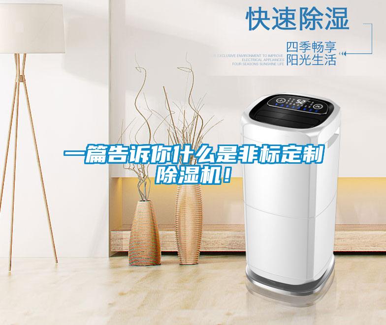 一篇告訴你什么是非標定制除濕機！