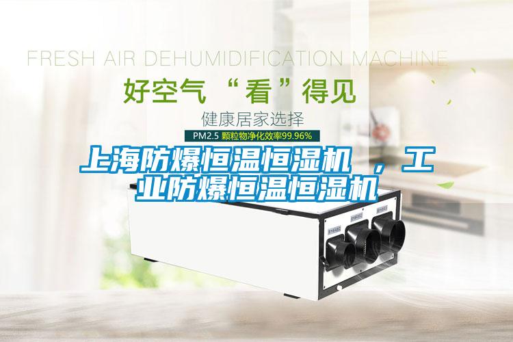 上海防爆恒溫恒濕機 ，工業防爆恒溫恒濕機