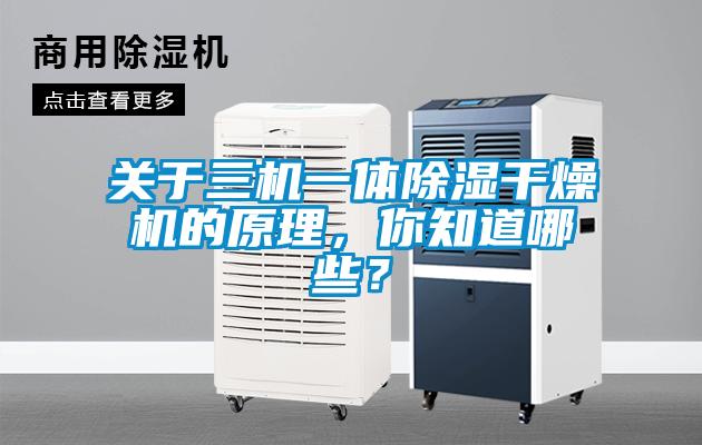 關(guān)于三機一體除濕干燥機的原理，你知道哪些？