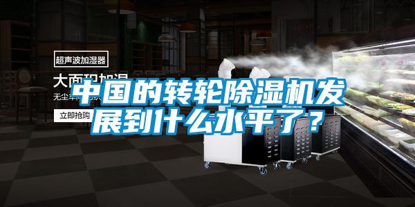 中國(guó)的轉(zhuǎn)輪除濕機(jī)發(fā)展到什么水平了?