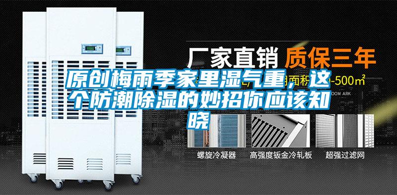 原創梅雨季家里濕氣重，這個防潮除濕的妙招你應該知曉