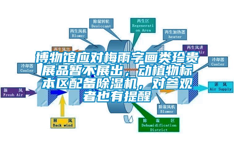 博物館應(yīng)對(duì)梅雨字畫(huà)類(lèi)珍貴展品暫不展出，動(dòng)植物標(biāo)本區(qū)配備除濕機(jī)，對(duì)參觀者也有提醒
